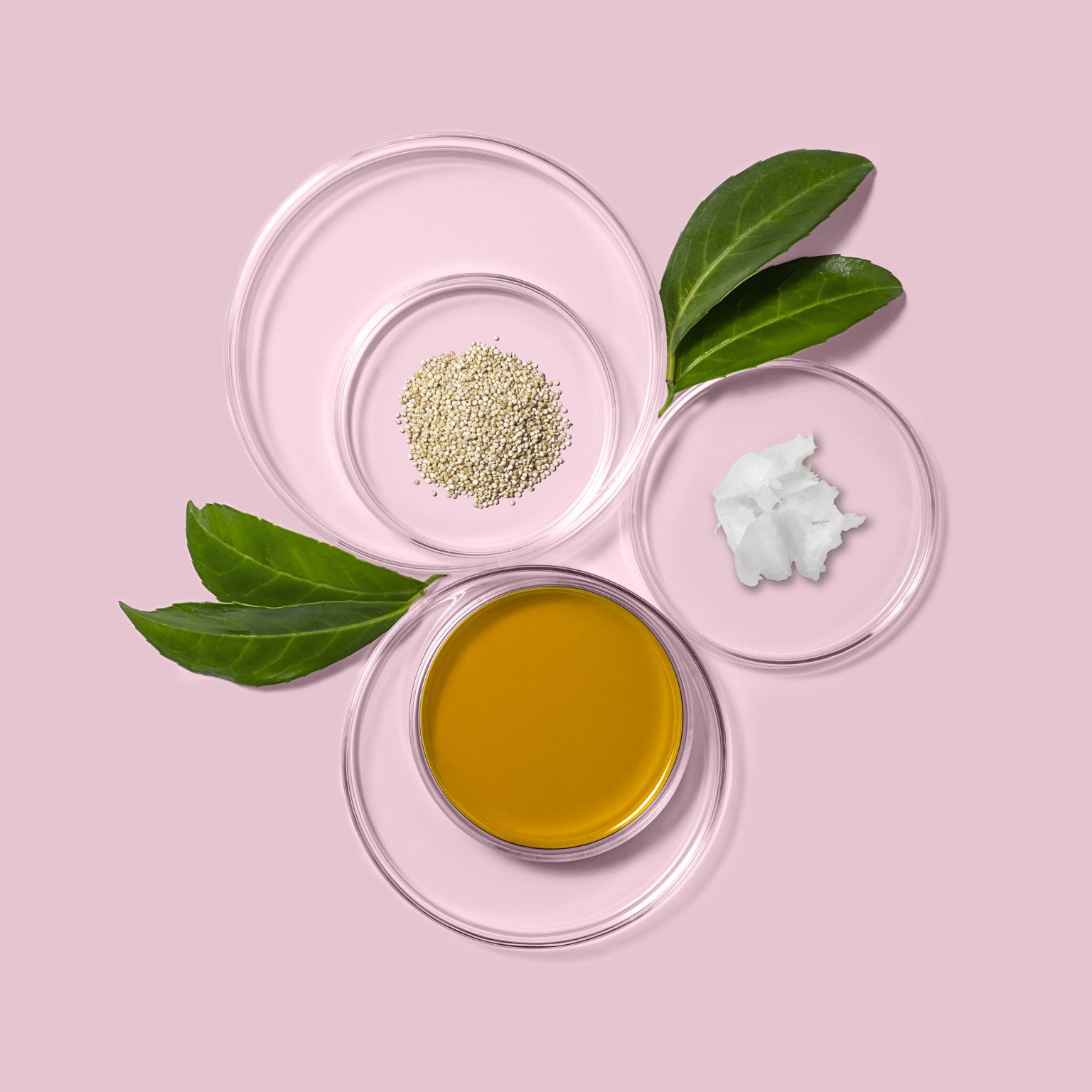 BRAVE NEW HAIR COCONUT CUDDLE